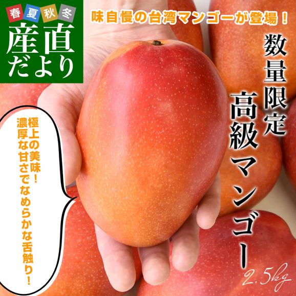 台湾産 台湾マンゴー(品種:愛文 アーウイン)大玉厳選 約2.5キロ(6玉入)送料無料 マンゴー まんごー アップルマンゴー クール便02