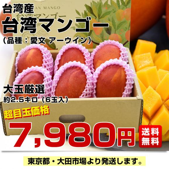 台湾産 台湾マンゴー(品種:愛文 アーウイン)大玉厳選 約2.5キロ(6玉入)送料無料 マンゴー まんごー アップルマンゴー クール便03