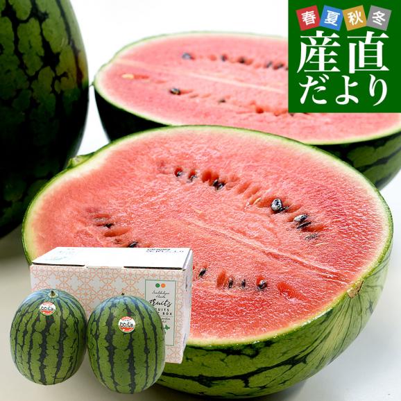 和歌山県産 JAわかやま紀州地域本部 小玉スイカ(ひとりじめ) 秀品 大玉サイズ 計4キロ(約2キロ×2玉)送料無料 西瓜 すいか01