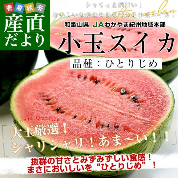 和歌山県産 JAわかやま紀州地域本部 小玉スイカ(ひとりじめ) 秀品 大玉サイズ 計4キロ(約2キロ×2玉)送料無料 西瓜 すいか02
