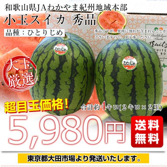 和歌山県産 JAわかやま紀州地域本部 小玉スイカ(ひとりじめ) 秀品 大玉サイズ 計4キロ(約2キロ×2玉)送料無料 西瓜 すいか03