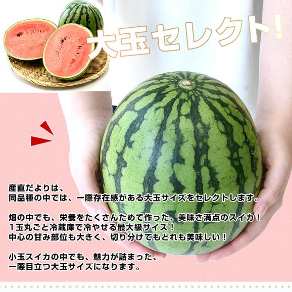 和歌山県産 JAわかやま紀州地域本部 小玉スイカ(ひとりじめ) 秀品 大玉サイズ 計4キロ(約2キロ×2玉)送料無料 西瓜 すいか04