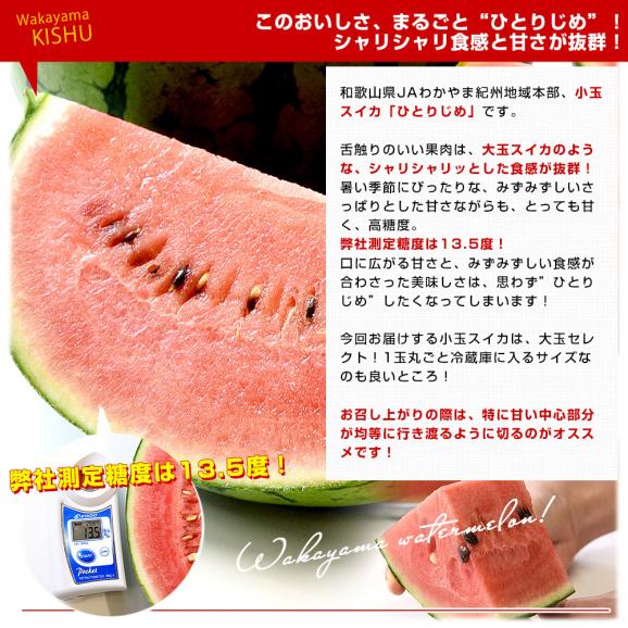 和歌山県産 JAわかやま紀州地域本部 小玉スイカ(ひとりじめ) 秀品 大玉サイズ 計4キロ(約2キロ×2玉)送料無料 西瓜 すいか05