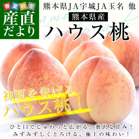 熊本県から産地直送 ハウス桃 秀品 約1キロ (4玉から6玉) 4Lから2Lサイズ 送料無料 もも ピーチ クール便 from九州 02