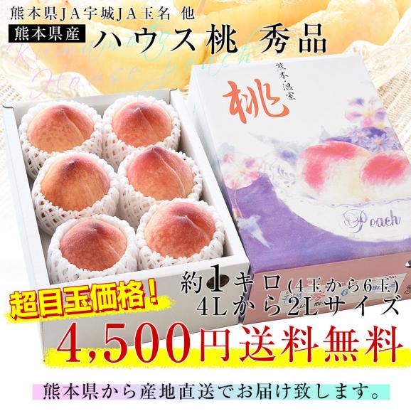 熊本県から産地直送 ハウス桃 秀品 約1キロ (4玉から6玉) 4Lから2Lサイズ 送料無料 もも ピーチ クール便 from九州 03