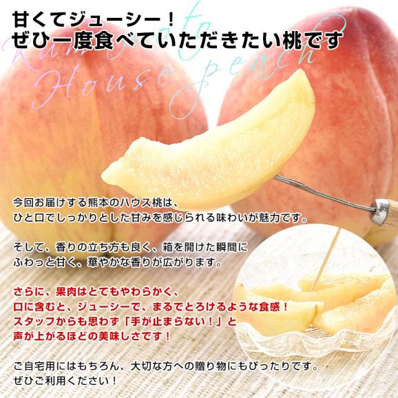 熊本県から産地直送 ハウス桃 秀品 約1キロ (4玉から6玉) 4Lから2Lサイズ 送料無料 もも ピーチ クール便 from九州 04