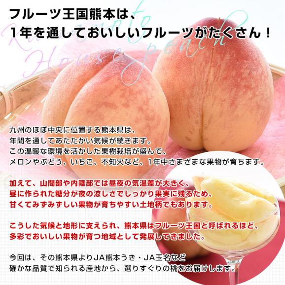 熊本県から産地直送 ハウス桃 秀品 約1キロ (4玉から6玉) 4Lから2Lサイズ 送料無料 もも ピーチ クール便 from九州 05