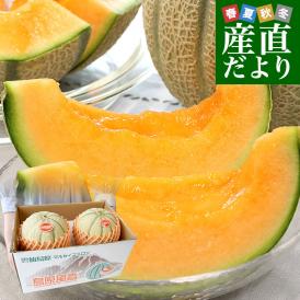 長崎県産 赤肉メロン マルセイユメロン 秀品 3Lサイズ 2玉（合計2.5キロ前後）送料無料 めろん 雲仙島原
