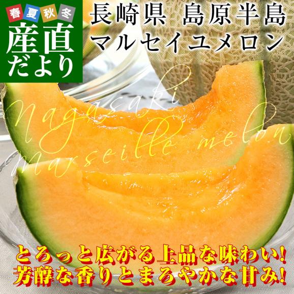 長崎県産 赤肉メロン マルセイユメロン 秀品 3Lサイズ 2玉(合計2.5キロ前後)送料無料 めろん 雲仙島原02