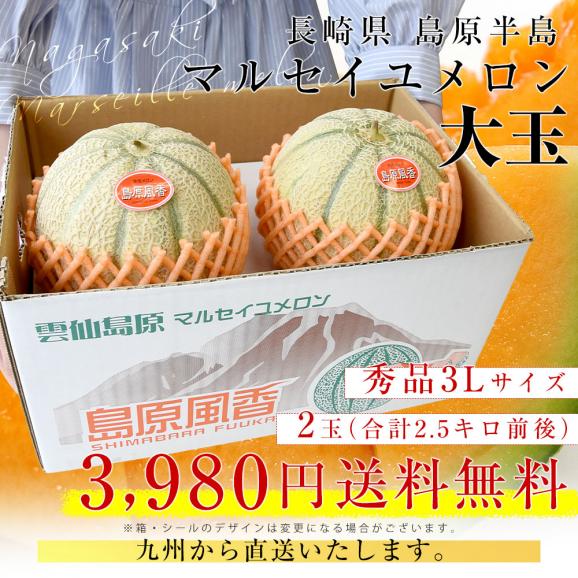 長崎県産 赤肉メロン マルセイユメロン 秀品 3Lサイズ 2玉(合計2.5キロ前後)送料無料 めろん 雲仙島原03