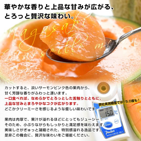 長崎県産 赤肉メロン マルセイユメロン 秀品 3Lサイズ 2玉(合計2.5キロ前後)送料無料 めろん 雲仙島原05