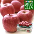 青森県より産地直送 マルジン・サンアップル 糖度14度以上 ふじ 「紅蘭（こうらん）」 MCA貯蔵品 約3キロ (9玉から11玉) 送料無料 りんご リンゴ 林檎 クール便