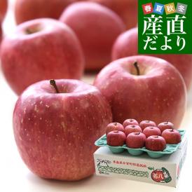 青森県より産地直送 マルジン・サンアップル 糖度14度以上 ふじ 「紅蘭（こうらん）」 MCA貯蔵品 約3キロ (9玉から11玉) 送料無料 りんご リンゴ 林檎 クール便