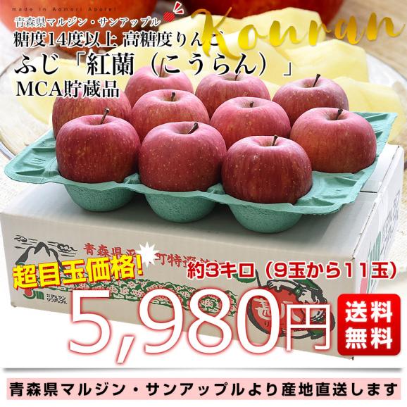青森県より産地直送 マルジン・サンアップル 糖度14度以上 ふじ 「紅蘭（こうらん）」 MCA貯蔵品 約3キロ (9玉から11玉) 送料無料 りんご リンゴ 林檎 クール便03