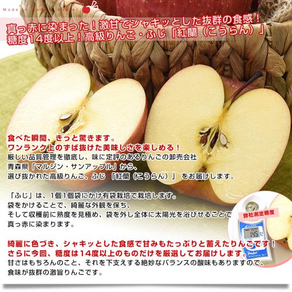 青森県より産地直送 マルジン・サンアップル 糖度14度以上 ふじ 「紅蘭（こうらん）」 MCA貯蔵品 約3キロ (9玉から11玉) 送料無料 りんご リンゴ 林檎 クール便04