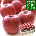青森県より産地直送 マルジン・サンアップル 糖度14度以上 ふじ 「紅蘭(こうらん)」 MCA貯蔵品 約5キロ (16玉から20玉) 送料無料 りんご リンゴ 林檎 クール便
