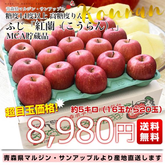 青森県より産地直送 マルジン・サンアップル 糖度14度以上 ふじ 「紅蘭(こうらん)」 MCA貯蔵品 約5キロ (16玉から20玉) 送料無料 りんご リンゴ 林檎 クール便 03
