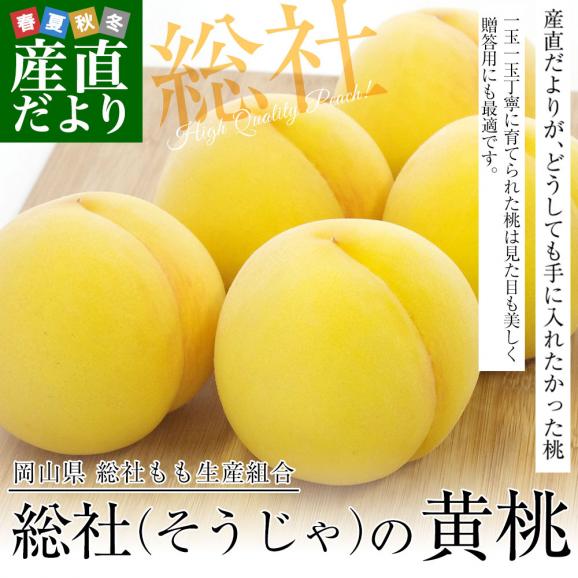 岡山県から産地直送 総社もも生産組合 岡山黄桃 黄ららのきわみ 青秀以上 1キロ前後(3玉から5玉) 送料無料 もも モモ02