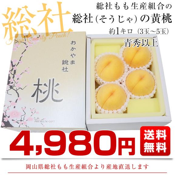 岡山県から産地直送 総社もも生産組合 岡山黄桃 黄ららのきわみ 青秀以上 1キロ前後(3玉から5玉) 送料無料 もも モモ03
