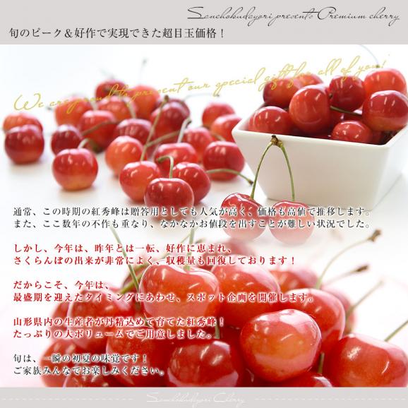 山形県産さくらんぼ「紅秀峰」秀品 Lサイズ以上 大ボリューム 約800g(約200g×4パック)送料無料 クール便 サクランボ 桜桃 04