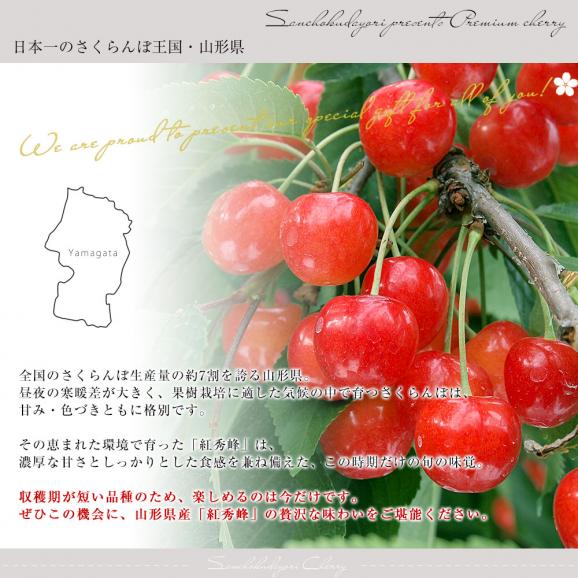 山形県産さくらんぼ「紅秀峰」秀品 Lサイズ以上 大ボリューム 約800g(約200g×4パック)送料無料 クール便 サクランボ 桜桃 06