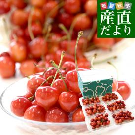 山形県産さくらんぼ「紅秀峰」秀品 Lサイズ以上 衝撃の超盛 約1.2キロ(200g×6パック) 送料無料 クール便 サクランボ 桜桃 