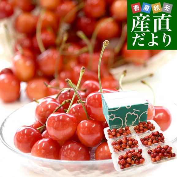 山形県産さくらんぼ「紅秀峰」秀品 Lサイズ以上 衝撃の超盛 約1.2キロ(200g×6パック) 送料無料 クール便 サクランボ 桜桃 01