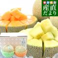 茨城県産 JA茨城旭村 エルソルメロン＆クインシーメロン 特秀品 大玉3Lサイズ 2玉セット (合計約2.5キロ) 送料無料 青肉 赤肉 メロンセット 