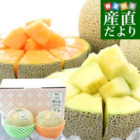 茨城県産 JA茨城旭村 エルソルメロン＆クインシーメロン 特秀品 大玉3Lサイズ 2玉セット (合計約2.5キロ) 送料無料 青肉 赤肉 メロンセット 