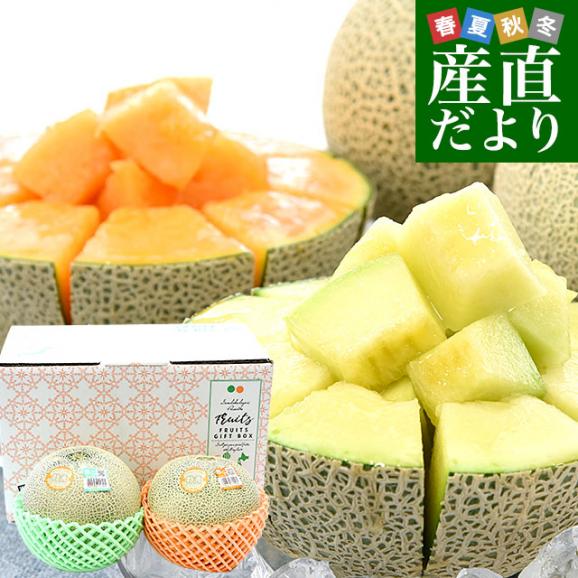 茨城県産 JA茨城旭村 エルソルメロン＆クインシーメロン 特秀品 大玉3Lサイズ 2玉セット (合計約2.5キロ) 送料無料 青肉 赤肉 メロンセット 01