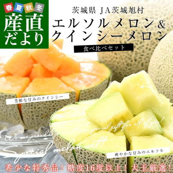 茨城県産 JA茨城旭村 エルソルメロン＆クインシーメロン 特秀品 大玉3Lサイズ 2玉セット (合計約2.5キロ) 送料無料 青肉 赤肉 メロンセット 02