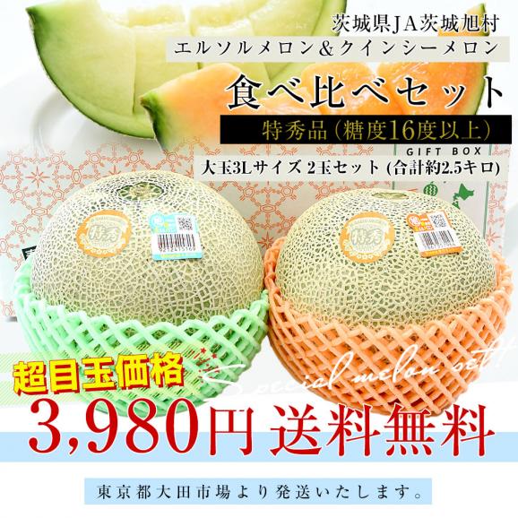 茨城県産 JA茨城旭村 エルソルメロン＆クインシーメロン 特秀品 大玉3Lサイズ 2玉セット (合計約2.5キロ) 送料無料 青肉 赤肉 メロンセット 03