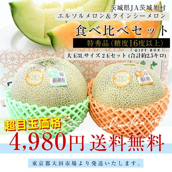 茨城県産 JA茨城旭村 エルソルメロン＆クインシーメロン 特秀品 大玉3Lサイズ 2玉セット (合計約2.5キロ) 送料無料 青肉 赤肉 メロンセット 03