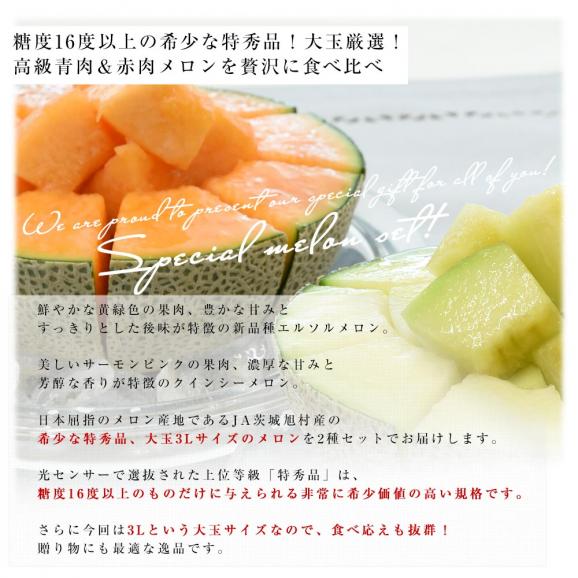 茨城県産 JA茨城旭村 エルソルメロン＆クインシーメロン 特秀品 大玉3Lサイズ 2玉セット (合計約2.5キロ) 送料無料 青肉 赤肉 メロンセット 04