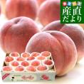 山梨県産 JAフルーツ山梨 春日居支所 春日居の桃 青秀品 5キロ(15玉から16玉入り) 送料無料 かすがい 笛吹市 クール便