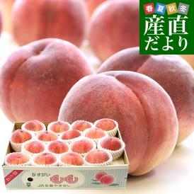 山梨県産 JAフルーツ山梨 春日居支所 春日居の桃 青秀品 5キロ(15玉から16玉入り) 送料無料 かすがい 笛吹市 クール便