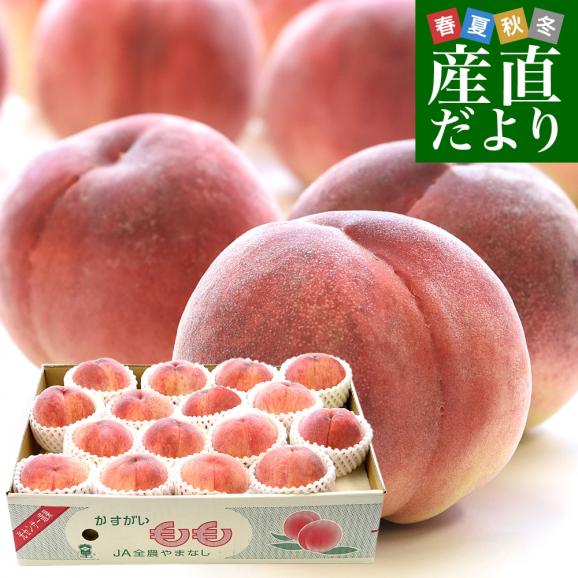 山梨県産 JAフルーツ山梨 春日居支所 春日居の桃 青秀品 5キロ(15玉から16玉入り) 送料無料 かすがい 笛吹市 クール便01