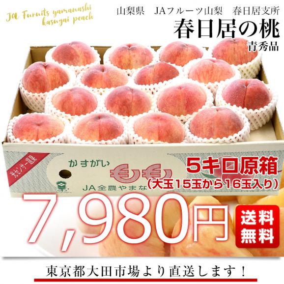 山梨県産 JAフルーツ山梨 春日居支所 春日居の桃 青秀品 5キロ(15玉から16玉入り) 送料無料 かすがい 笛吹市 クール便03