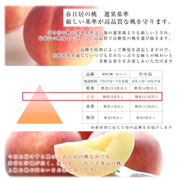 山梨県産 JAフルーツ山梨 春日居支所 春日居の桃 青秀品 5キロ(15玉から16玉入り) 送料無料 かすがい 笛吹市 クール便05