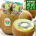 ニュージーランド産 ゼスプリ・グリーンキウイ 大玉 1.8キロ以上(14玉) 送料無料 クール便 キウイフルーツ ヘイワード 完熟キウイ