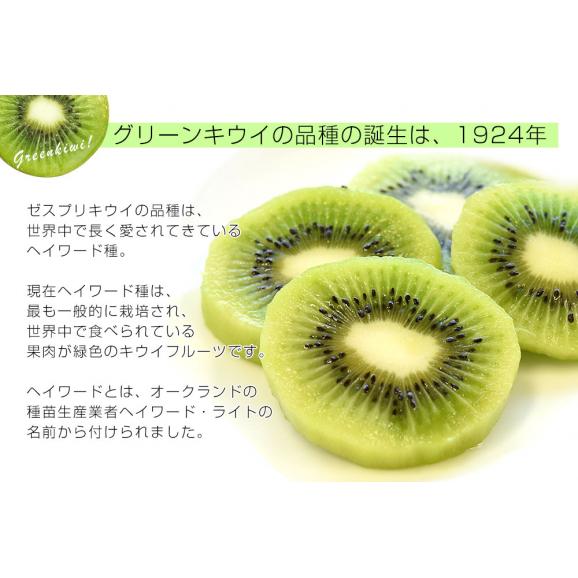 ニュージーランド産 ゼスプリ・グリーンキウイ 大玉 1.8キロ以上(14玉) 送料無料 クール便 キウイフルーツ ヘイワード 完熟キウイ04