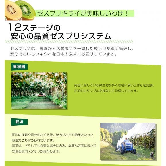 ニュージーランド産 ゼスプリ・グリーンキウイ 大玉 1.8キロ以上(14玉) 送料無料 クール便 キウイフルーツ ヘイワード 完熟キウイ05