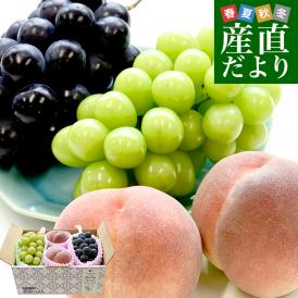 【お中元・夏ギフト】プレミアム果物3種ギフト 山梨県産 シャインマスカット 1房(約500g)＆山梨県産 特秀桃 一桃匠2玉入(約600g)&福岡県産  巨峰 秀品 1房(約500g) 送料無料