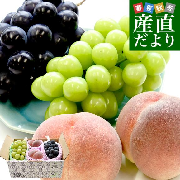 【お中元・夏ギフト】プレミアム果物3種ギフト 山梨県産 シャインマスカット 1房(約500g)&山梨県産 特秀桃 一桃匠2玉入(約600g)&福岡県産 巨峰 秀品 1房(約500g) 送料無料01