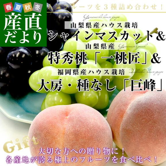 【お中元・夏ギフト】プレミアム果物3種ギフト 山梨県産 シャインマスカット 1房(約500g)&山梨県産 特秀桃 一桃匠2玉入(約600g)&福岡県産 巨峰 秀品 1房(約500g) 送料無料02