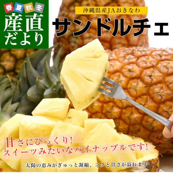 沖縄県産 JAおきなわ パイナップル サンドルチェ Lサイズ以上 2玉 (合計約2キロ前後) 送料無料 沖縄パイン ぱいなっぷる クール便02