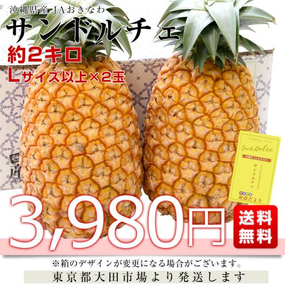 沖縄県産 JAおきなわ パイナップル サンドルチェ Lサイズ以上 2玉 (合計約2キロ前後) 送料無料 沖縄パイン ぱいなっぷる クール便03