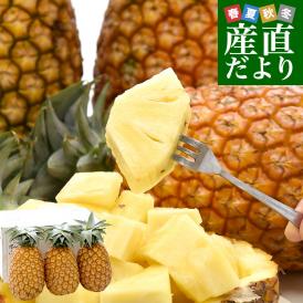 沖縄県産 JAおきなわ パイナップル サンドルチェ Lサイズ以上 3玉 (合計約3キロ前後) 送料無料 沖縄パイン ぱいなっぷる クール便