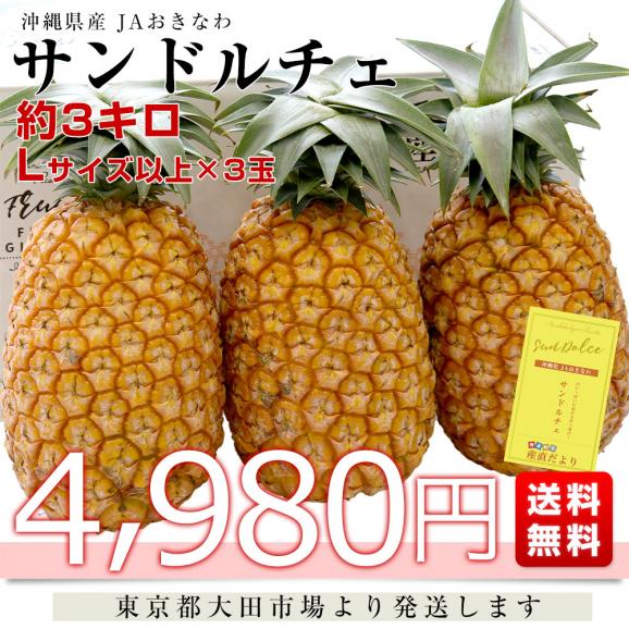 沖縄県産 JAおきなわ パイナップル サンドルチェ Lサイズ以上 3玉 (合計約3キロ前後) 送料無料 沖縄パイン ぱいなっぷる クール便03