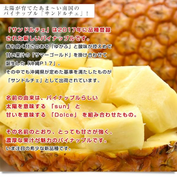 沖縄県産 JAおきなわ パイナップル サンドルチェ Lサイズ以上 3玉 (合計約3キロ前後) 送料無料 沖縄パイン ぱいなっぷる クール便04